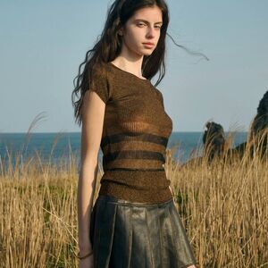 Ancosti Striped Metallic Short Sleeve Top Brown  Size L